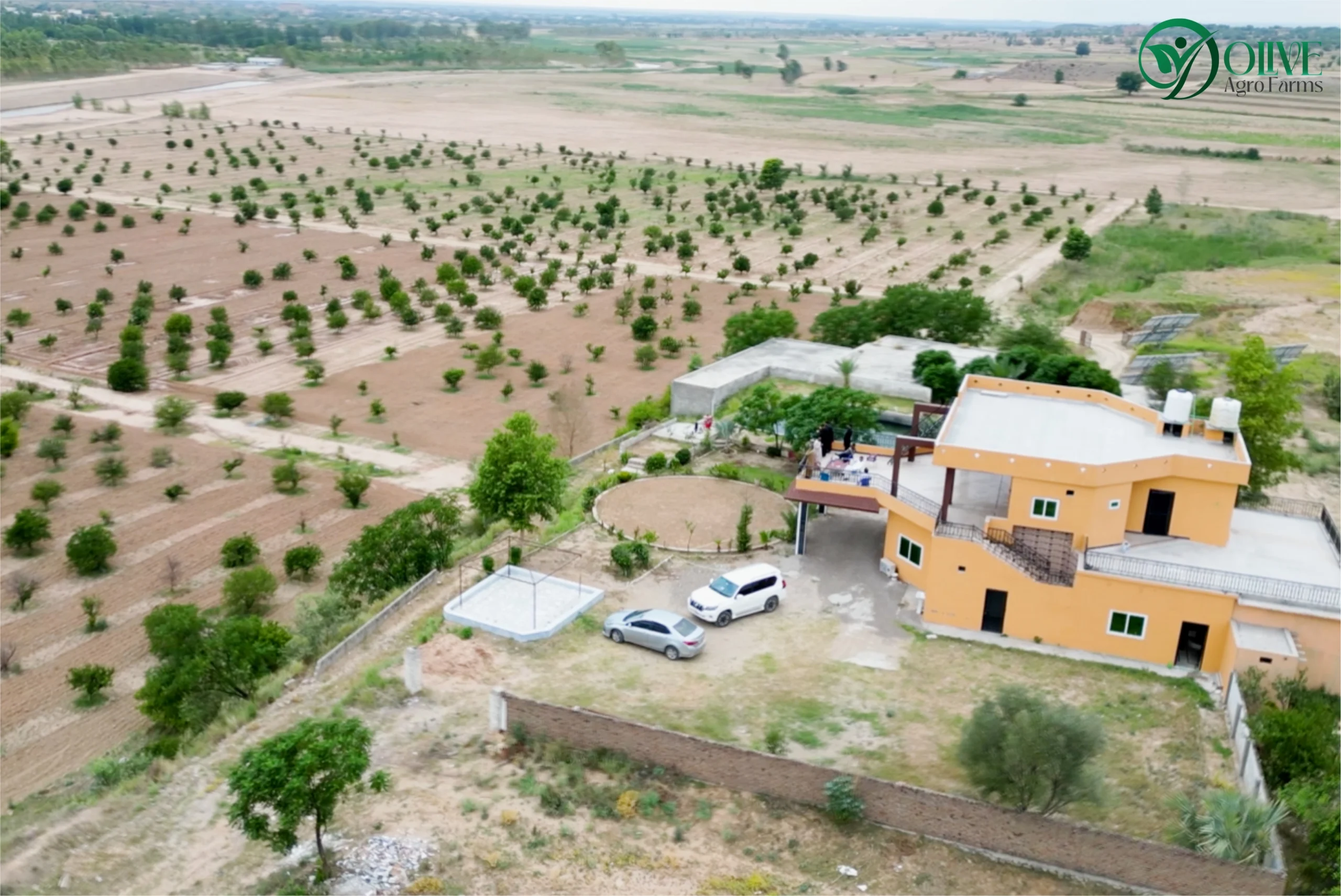 Olive Agro Farms: April 2026